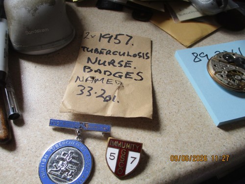 Enamel nursing badges - enamel,