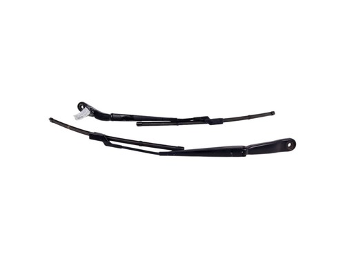 Ant tergi arms for - arms,