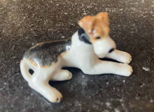 Sweet small fox terrier - sweet,