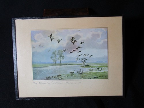 Lovely vintage peter scott - vintage,