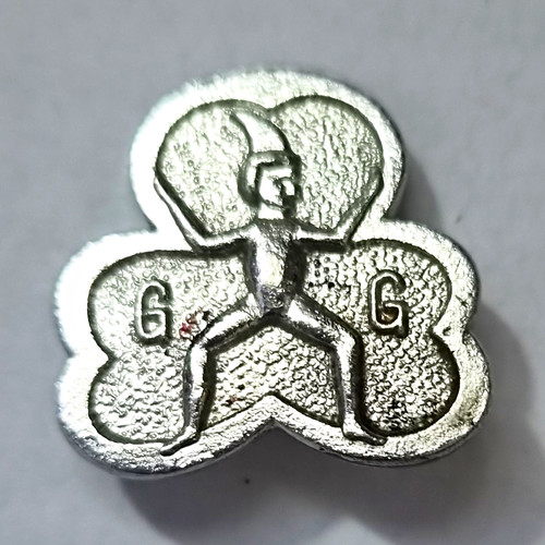 Girl guides scouts - girl,