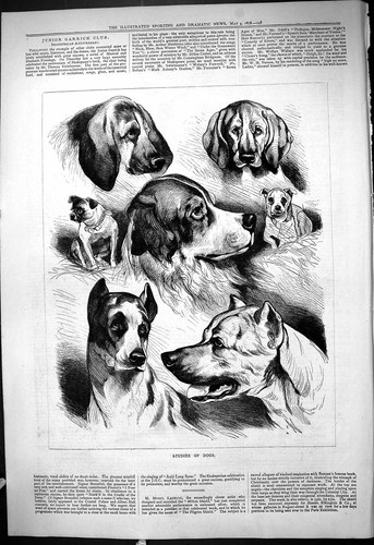 Original old antique print - old,