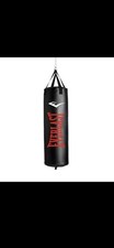 Everlast Unfilled Punch Bag |