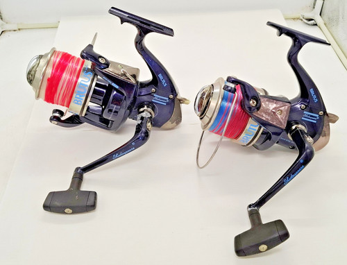 Shakespeare sea fishing - fishing, reel