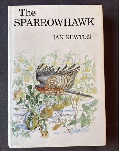 The sparrowhawk ian newton - the,