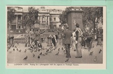 London Life: Posing for a Photograph with The Pigeons in Trafalgar Square - Unp