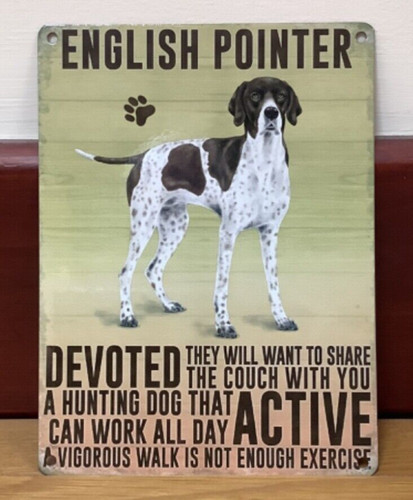 English pointer vintage - -,