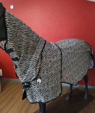 Zebra Print Epic Classic Ride