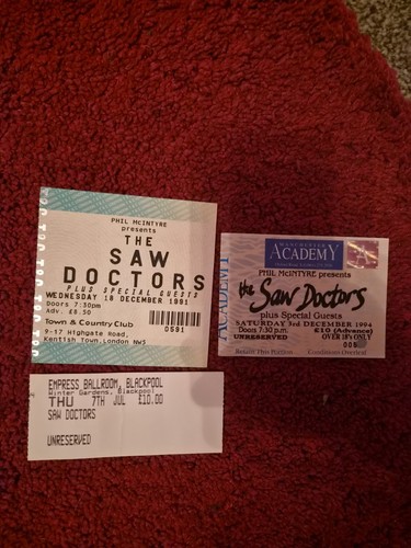 The saw doctors concert - doctors,