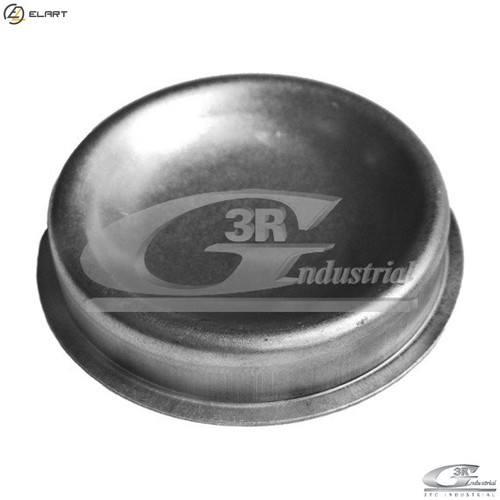 Cap wheel bearing 80226 - wheel, for