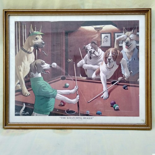 The scratching beagle - the,