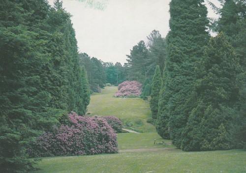 Vintage bedgebury national - vintage,