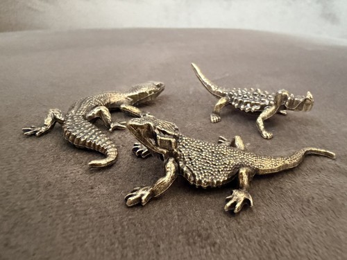 Set lizard solid - lizard,