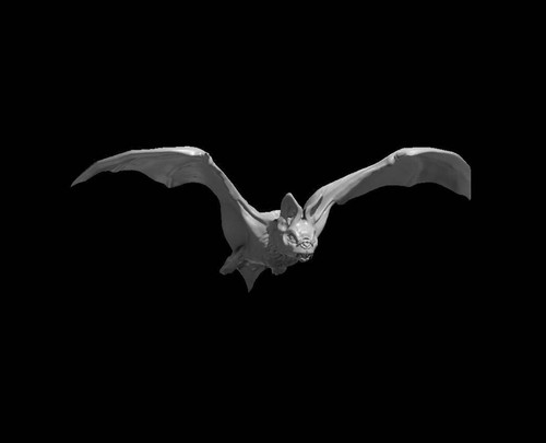 Giant bat for - dungeons, and