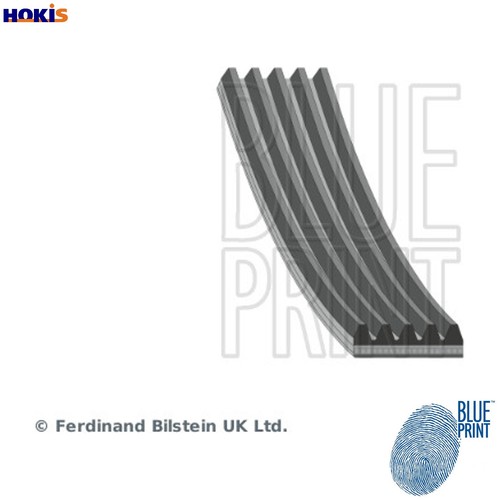 Vribbed belt ad05r954 - belt, 4g18