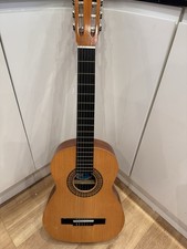 Acoustic Guitar