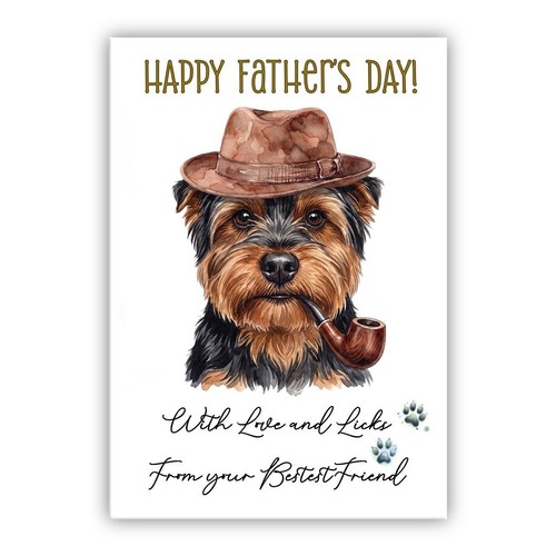 Yorkshire terrier yorkie - terrier,