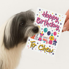Scoff Paper Edible Happy Birthday Dog Card – the Card Your Dog Can Eat! Happy Bi