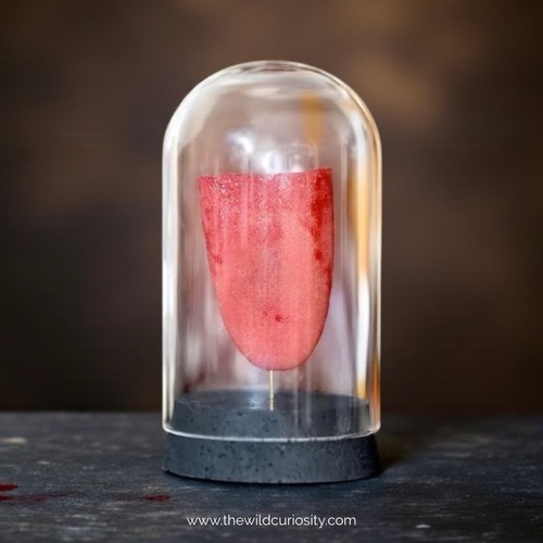 Speak evil replica - speak, |