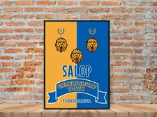 Shrewsbury town print - shrewsbury,