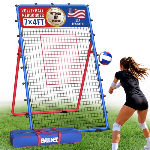 Professional volleyball - professional,