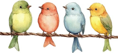 Watercolour bird wall art - watercolour,