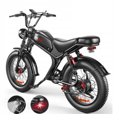 20'' Fat Tire Electric Bike