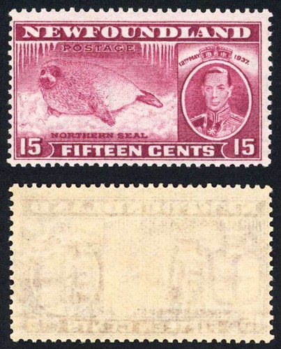 Newfoundland sg263d 15c comb - 15c,