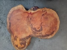 Coaster Chopping Board 