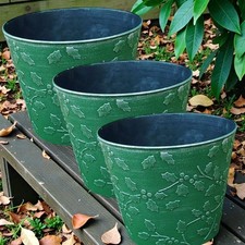 Vintage Green Embossed Plant