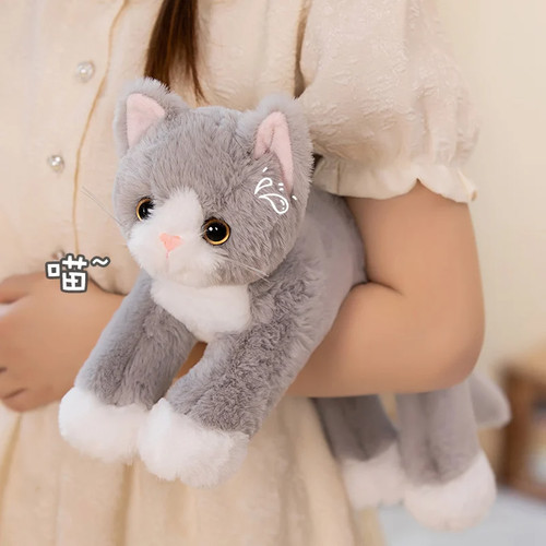 New cute realistic - cute, kitten