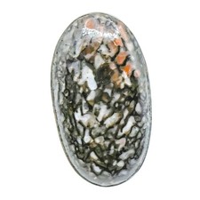 Petrified Dinosaur Bone Ring
