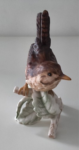 Winter wren bird - winter, by