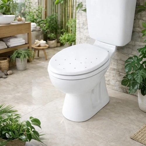 Wooden toilet seat quick close - wooden,