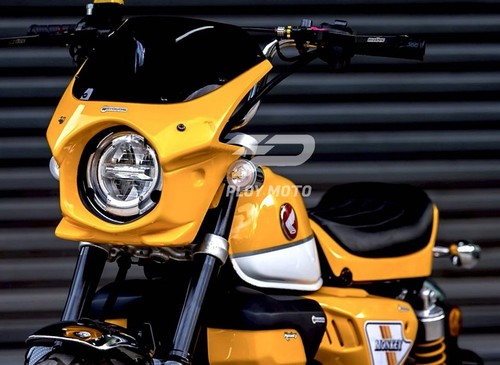 Windshield mask for honda - for,