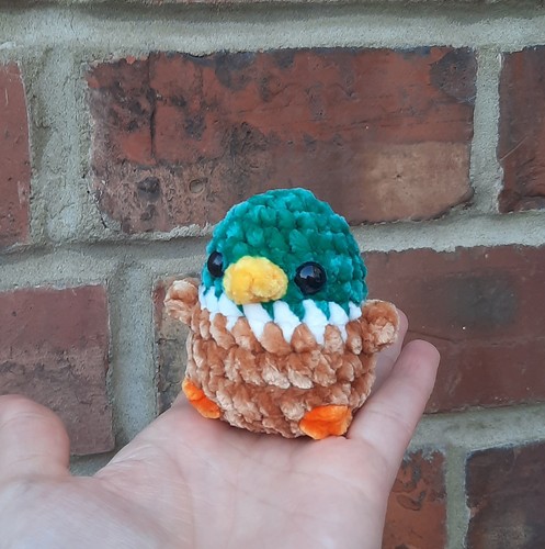 Crochet mallard plushie - crochet,