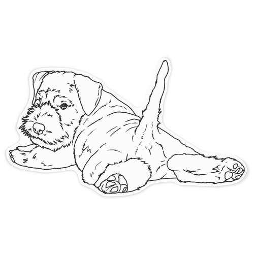 Schnauzer puppy relaxing - 'schnauzer,