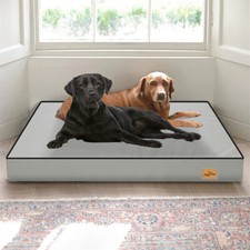 Waterproof Platform Dog Bed