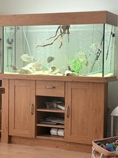 Fish Tank Complete Set Up