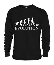 MINIATURE POODLE EVOLUTION OF