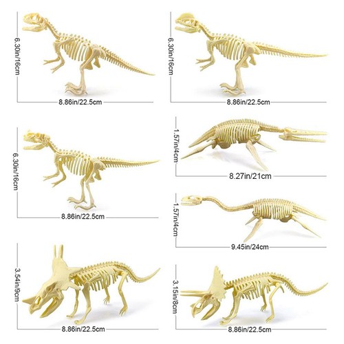 Bones fossils model pcs - model, 7