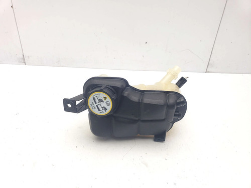 Jaguar pace x540 coolant - jaguar,