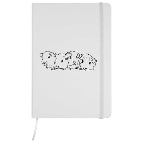 Baby guinea pigs a5 - guinea, pigs'