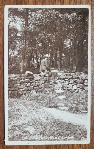 1913 entrance mosely woods - 1913,