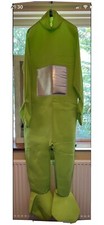 Dipsy Teletubbies Costume