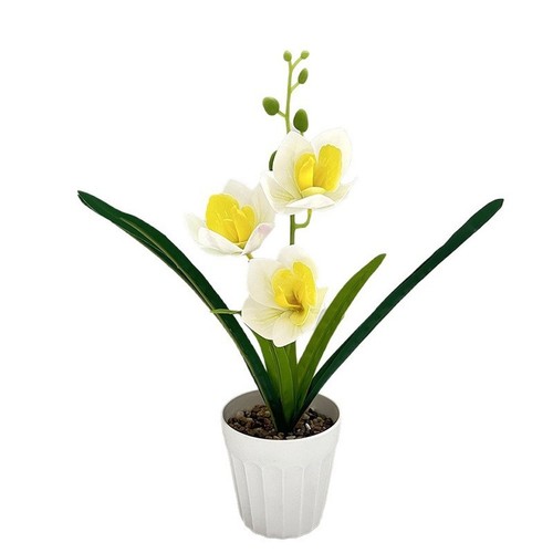 Piece decorative cymbidium - piece,