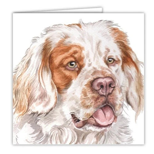 Clumber spaniel card waggydogz