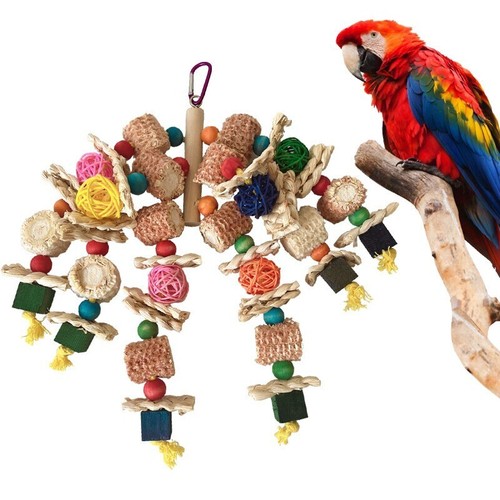 African grey macaws cockatoos - macaws,
