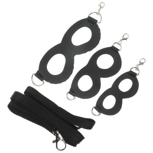 Bearded dragon leash and - dragon,