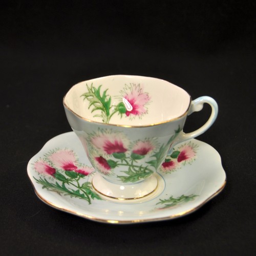 Brain foley cup saucer - brain,